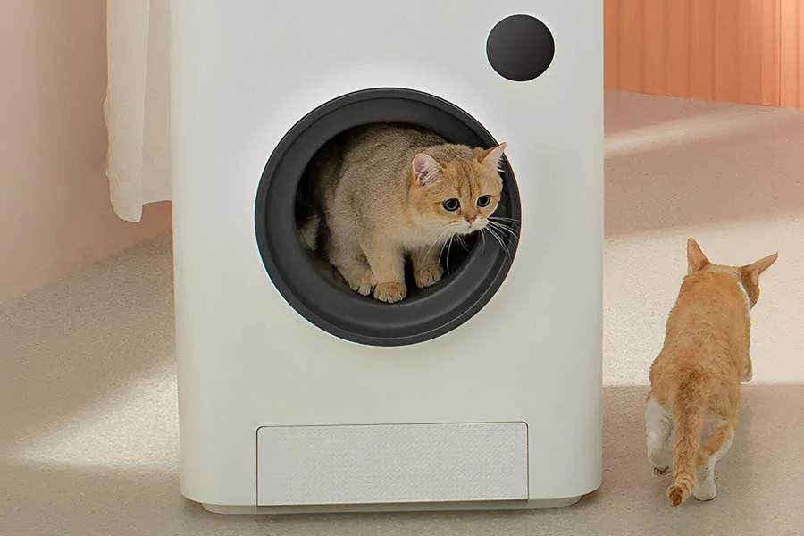 best litter box for large cats
